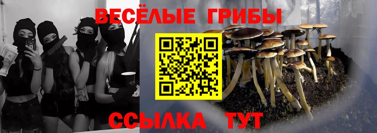 Галлюциногенные грибы Psilocybe  Вход с VPN  Галлюциногенные грибы Psilocybine cubensis  Дивногорск 